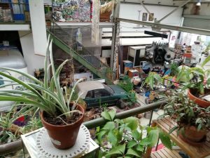 Kolbhalle Artist Community in Köln. Grüne Pflanzen