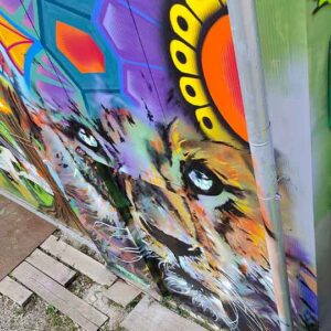 Bavarian Safari Graffiti Jam Landsberg 2023 bunter Löwenkopf von oben fotografiert streetart