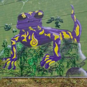 Bavarian Safari Graffiti Jam Landsberg 2023 lila Salamander gesprüht durch Künstlerin Joysis