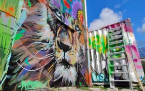 Bavarian Safari Graffiti Jam Landsberg 2023 Bodenansicht von unten auf Portrait Löew Kimzoo, farbenfrohes Streetartwerk, rechts führt eine Leiter auf den Container, welcher ebenfalls bunt bemalt ist