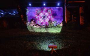 Neue Ornamente - Secret city Fassadenfestival - Paderborn - 2023, das fertige Wandbild wird nachts mithilfe eines Beamers ausgeleuchtet und verändert sein Erscheinungsbild und interagiert mit Licht, Schablonen Streetart konzept by Erwa.One