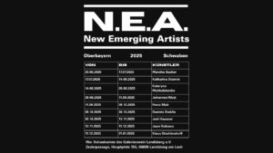 NEA Programm 2025 Landsberg am Lech Galerieverein Landsberg am Lech Kurationsprojekt New emerging Artists mit monatlich wechselnden Künstlern im Schaukasten der Zederpassage