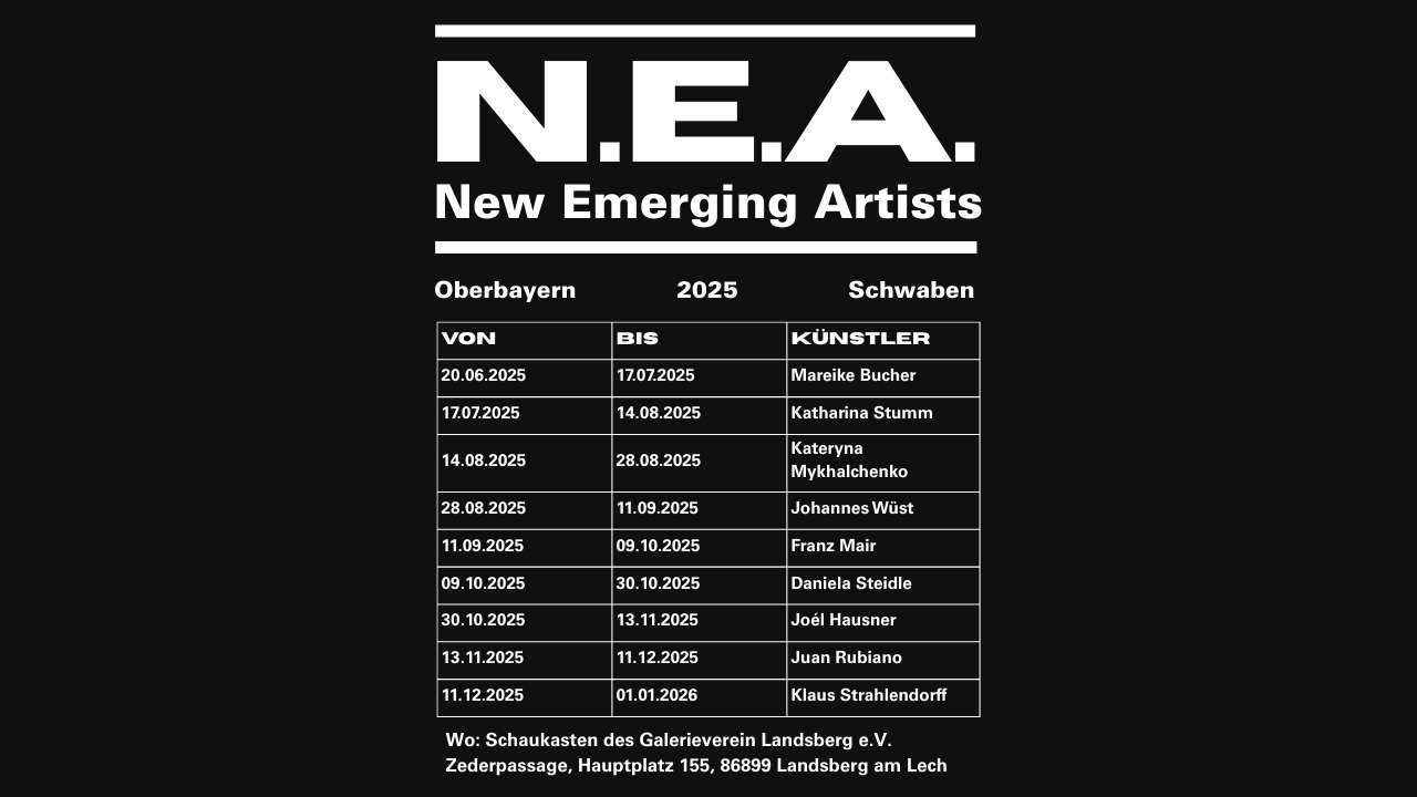 NEA Programm 2025 Landsberg am Lech Galerieverein Landsberg am Lech Kurationsprojekt New emerging Artists mit monatlich wechselnden Künstlern im Schaukasten der Zederpassage