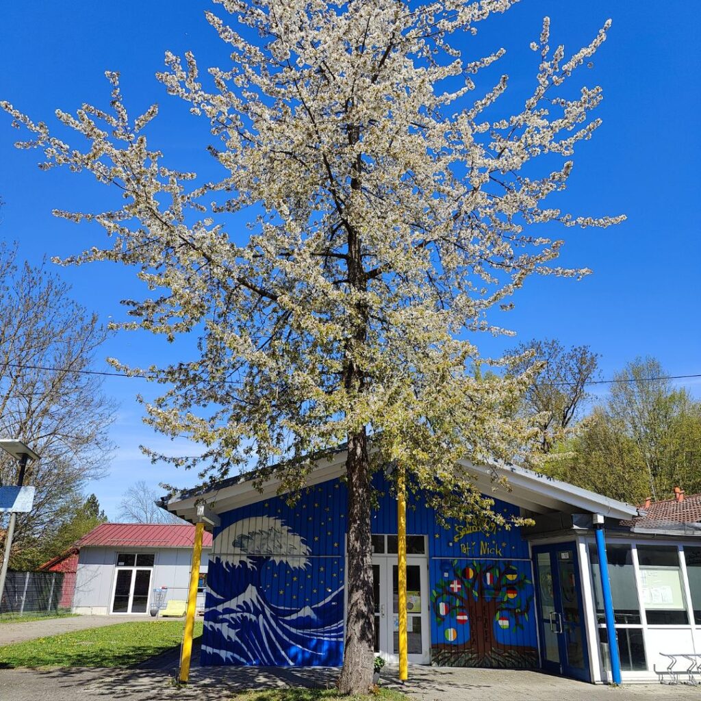 Moderne Streetart Interpretation der großen Welle vor Kanagawa von Hokusai (Holzschnitt) am Jugendzentrum Lechside Lounge in Kaufering mit einem Kirschbaum in der Blüte im Vordergrund, Streetart Werk durch Erwa.One urbane Kunst und Jugendarbeit