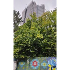 Peace Tower Jam am zukünftigen Studentenwohnheim Lechbrücke in Augsburg. Streetart und Graffiti auf Bauzäunen sorgen für Farbe und Miteinander. Der Turm ragt im Hintergrund in die Höhe