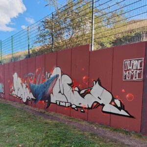 Streetart Waal und Graffiti Style Köln Kalkberg Wall of Fame