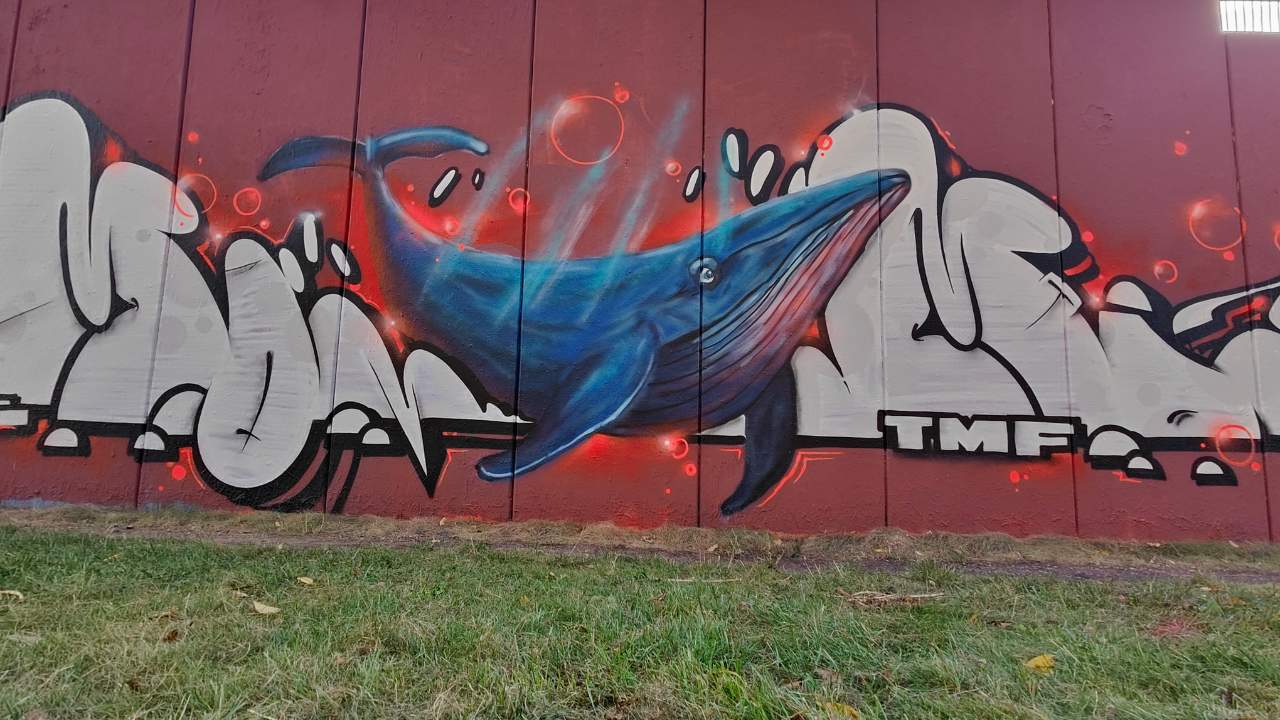 Streetart Waal und Graffiti Style Köln Kalkberg Wall of Fame